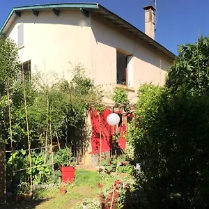 La Bulle Dans Le Palmier , Toulouse France